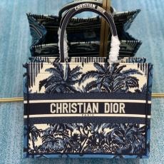 Christian Dior Shopping Bags